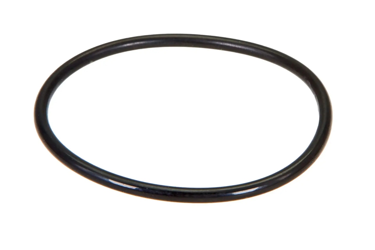 CL 212859 O RING ORIGINAL