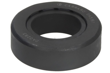 6000103308 45161 GE28SX/GAC 28 S /FLURO/ BEARING