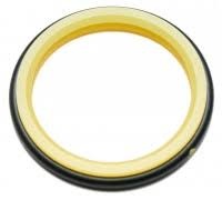 CL 218097 BRISAC ORG