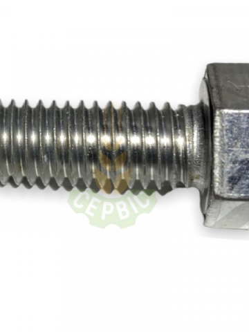 CL 216670.01 VIJAK