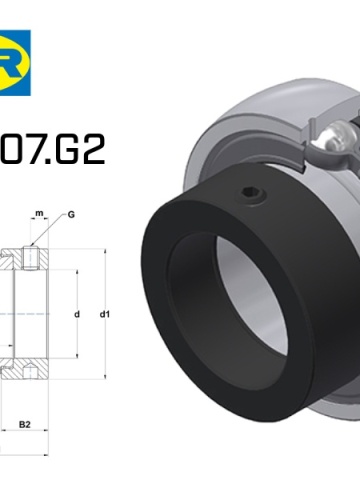 UY 207 2RS ES.207.G2 SNR