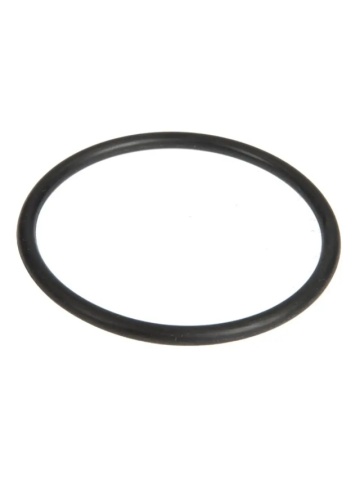 CL 6005019089 O-RING