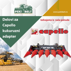 03202101 NOZ SECKE CAPELO - Img 2