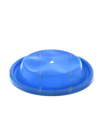 DF 02423425 MEMBRANA