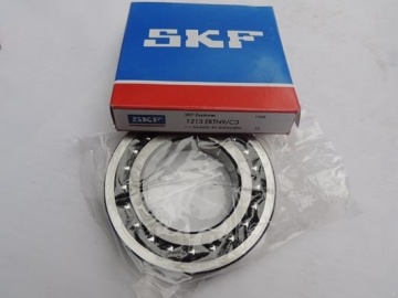 1213 SKF