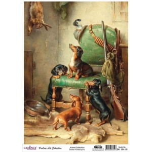 Animals DK-04 collection 30X42CM