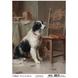 Animals DK-05 collection 30X42CM