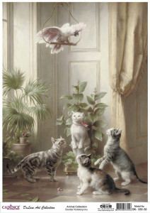 Animals DK-30 collection 30X42CM