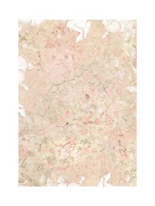 Rice decoupage paper 30x42cm 955 30X42