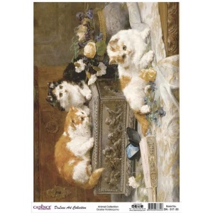 Animals DK-17 collection 30X42CM