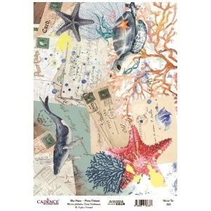 Rice decoupage paper 30x42cm 823