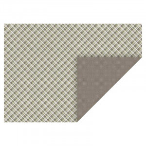 Karton 20-47717 79 Checks & Dots B2