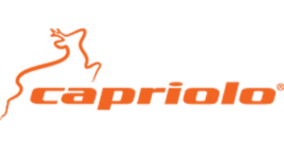 Capriolo