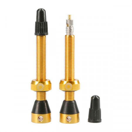 Valve Tubeless Tubolight 50mm Aurii