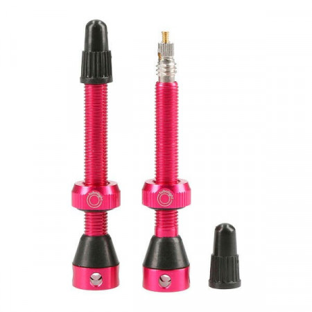 Valve Tubeless Tubolight 50mm Roz
