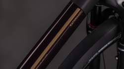 BICICLETA CUBE KATHMANDU SLX SOLARECLIPSE GOLD - Img 16