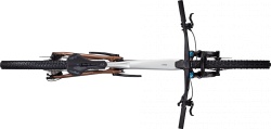 Bicicleta Focus Thron 6.9 29 Nepal Silver / Platinum Bronze - M(42cm) - Img 3