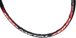 JANTA FULCRUM RM29 XRP