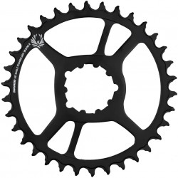 Foaie SRAM X- Sync 2 Eagle Steel 34 T Direct Mount Offset 3 mm Boost Neagra