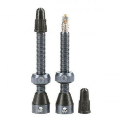 Valve Tubeless Tubolight 50mm Gri