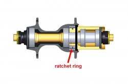 Ratchet NOVATEC - 27 T - Img 3
