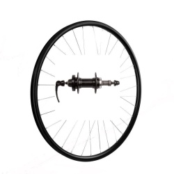 Roata Spate 29"(622x19C) SXT Basic Only-Capsata-36H-FD Filetat