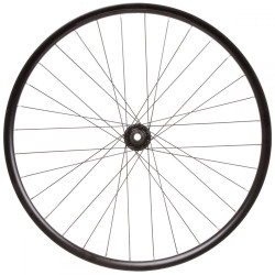 Roata Spate 29(622x21) SXT - 28H 12x141 MicroSpline - QR