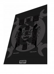 Stickere adezive furca ROCKSHOX Reba Stealth 2016
