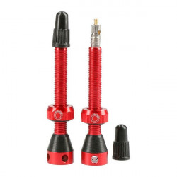 Valve Tubeless Tubolight 50mm Rosii