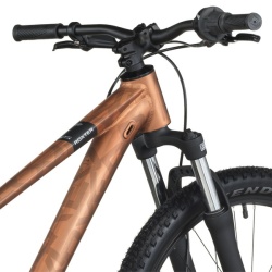 Bicicleta usoara pentru copii Scott ROXTER 600 - Img 7