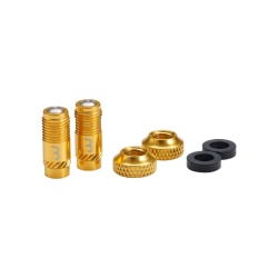 Capace valva BBB CoreCap aurii set 2 bucati
