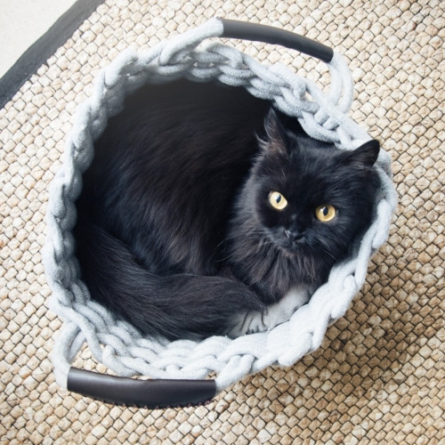 Petshop