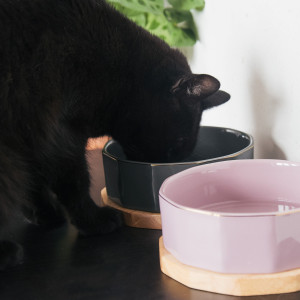 Set 2 Boluri pentru animale de companie Navaris, 800 ml, Suport antiderapant, 50946.02 - Img 6