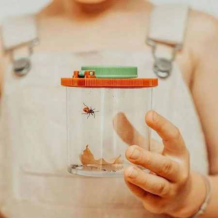 Cutia pentru insecte a micului colectionar naturalist – Moulin Roty - Img 6