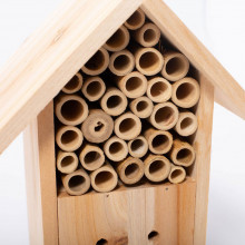 Hotelul insectelor – Moulin Roty