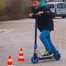 Set 4 jaloane Schildkröt