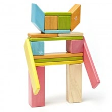 Set 24 piese din lemn magnetic, Tegu Tints