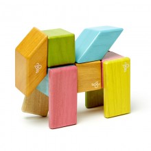 Set 24 piese din lemn magnetic, Tegu Tints