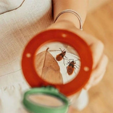 Cutia pentru insecte a micului colectionar naturalist – Moulin Roty - Img 7