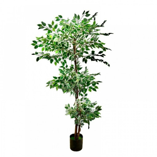 Pom Artificial /Decor/170 Cm HOM-A80081