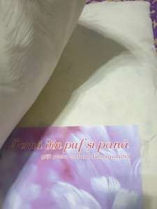 Perne din puf de gasca /Set 2 buc/70x70 cm ,Pentru Casa, Pensiune sau Hotel HOMPSP- 02M - Img 3