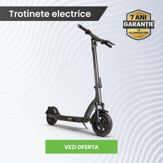 TROTINETE ELECTRICE