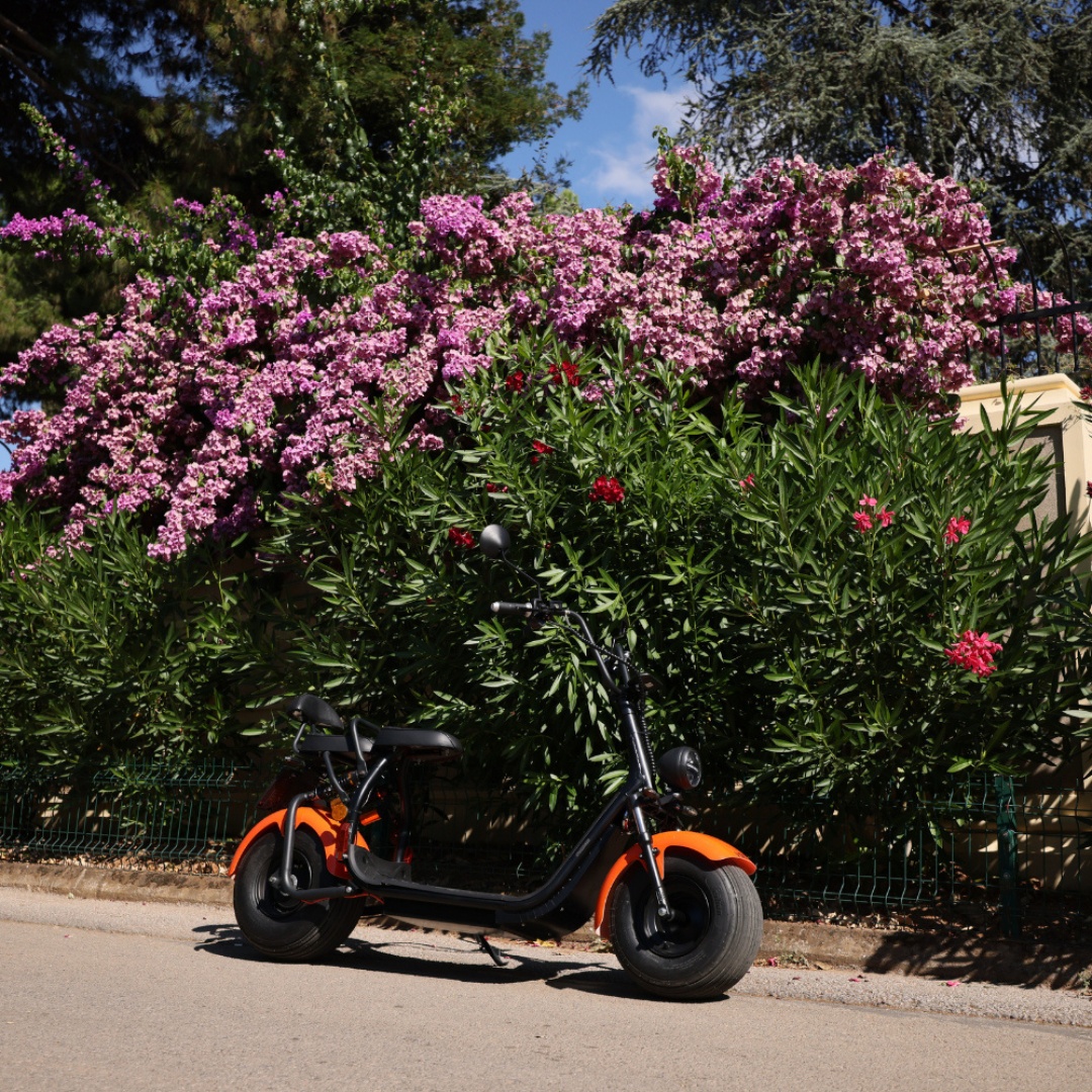 Scuter electric 1500W CityCoco PRO Tip Harley, Fara Permis