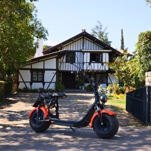 Scuter electric 1500W CityCoco PRO Tip Harley, Fara Permis, Voltarom SE-03, voltarom.ro,291787