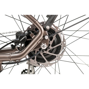 Bicicletă electrică urbană MS Energy Zorya C50, motor Ananda M131 de 250 W, cuplu 42 Nm, viteză maximă 25 km/h, autonomie 55–80 km, baterie 36 V, 10 Ah, 360 Wh, 8 viteze Shimano, Bronz - Img 9