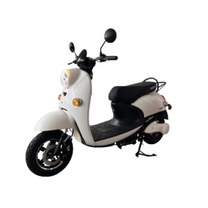 Voltarom S2, 2000W, Fara Permis, viteza maxima 25 km pe ora, autonomie pana la 60 km, Scuter Electric fara permis, Alb - Img 1