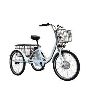 Bicicletă electrică cu 3 roți VB5, motor 250W, baterie litiu-ion 36V 10Ah, autonomie 25–40 km