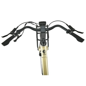 Bicicletă electrică urbană MS Energy Zorya Plus C500, motor Ananda R400 de 250 W, cuplu 45 Nm, viteză maximă 25 km/h, autonomie 55–80 km, baterie 36 V, 10 Ah, Auriu argintiu - Img 4