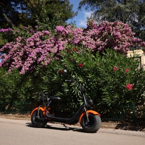 Scuter electric 1500W CityCoco PRO Tip Harley, Fara Permis, Voltarom SE-03, voltarom.ro,291790