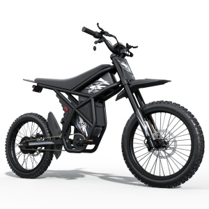 Motocicletă Scuter electric RidingTimes GT73, motor 2000W, baterii duale 48V, autonomie până la 250 km PAS